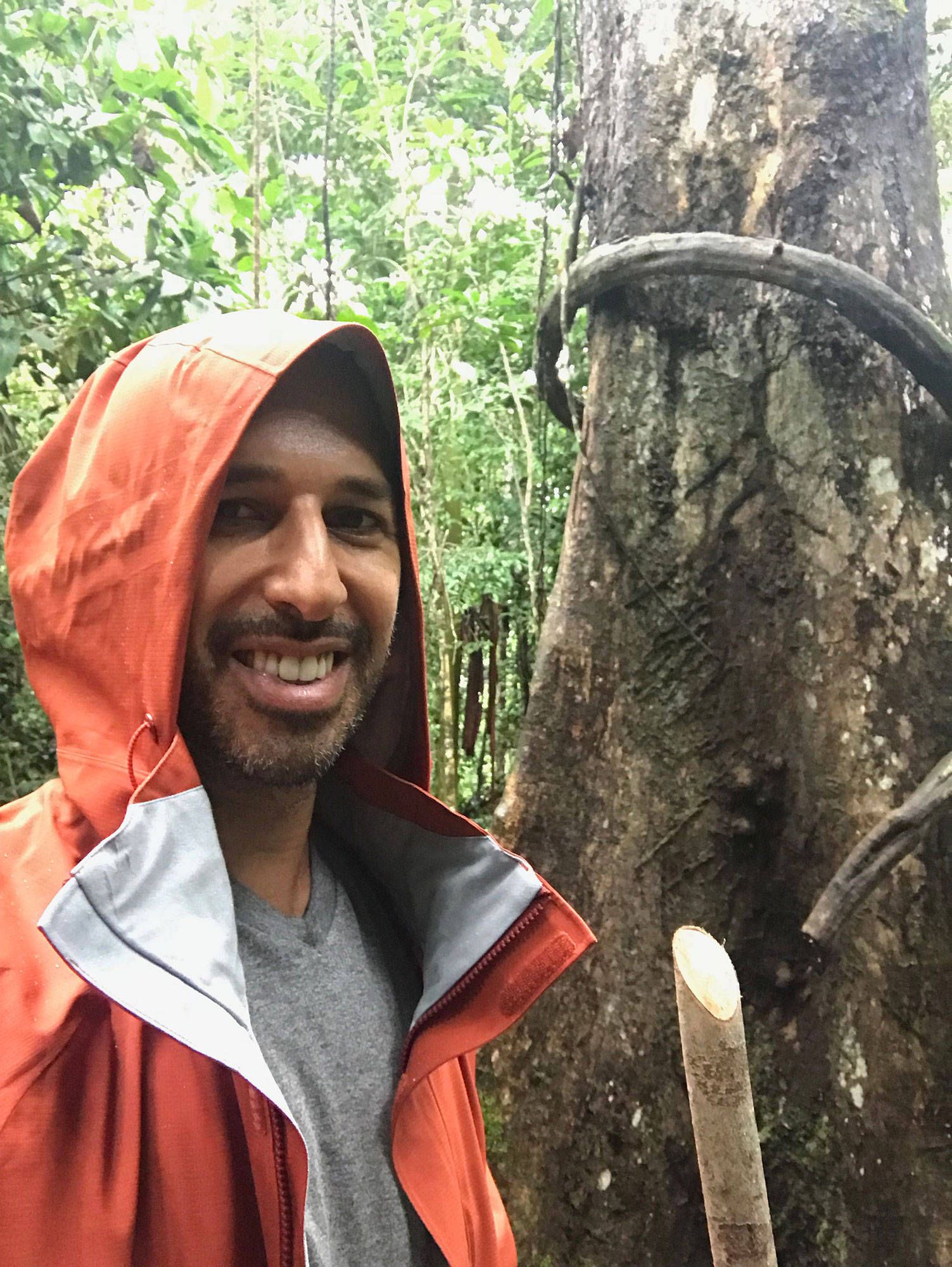 Hamid in a rain jacket beside a large jungle tree, a cut length of ayahuasca vine propped against the trunk